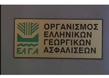 αποζημιώσεις