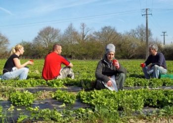 νέοι αγρότες