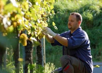 νέοι αγρότες