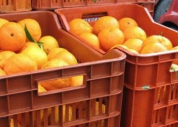 πορτοκάλια