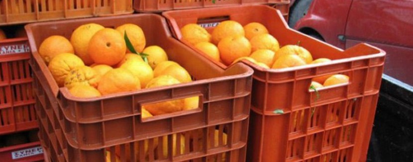 πορτοκάλια
