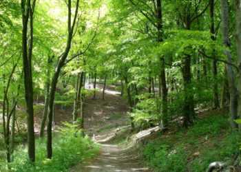 υποβολή αντιρρήσεων