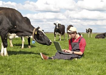 ΕΣΠΑ πτυχιούχοι πρωτογενούς τομέα