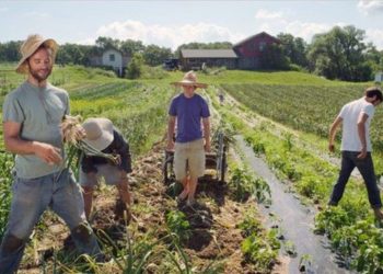 opekepe-eurw-koronoenisxuseis-kuries-plhrwmes