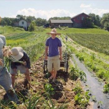 opekepe-eurw-koronoenisxuseis-kuries-plhrwmes