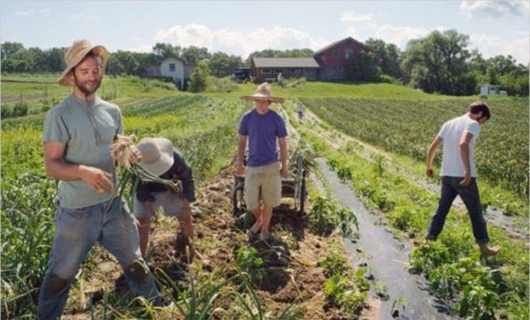 opekepe-eurw-koronoenisxuseis-kuries-plhrwmes