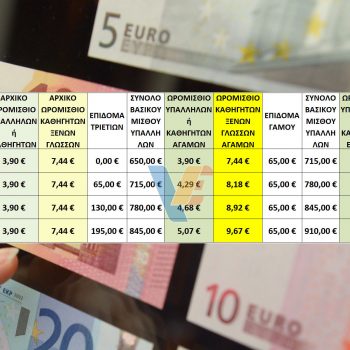 Πίνακας Ωρομίσθιων Αποδοχών Καθηγητών