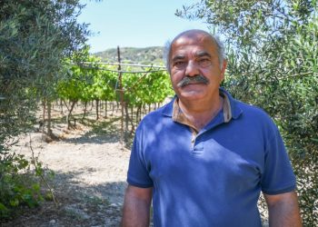 «Πρωτογενής τομέας και κλιματική αλλαγή»