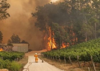 Εικόνες φρίκης στην Αυστραλία – 24 νεκροί, αυξάνονται οι δασικές πυρκαγιές (VIDEO)