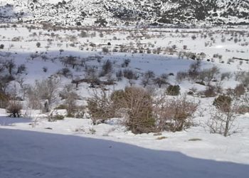 Σε κατάσταση Εκτάκτου Ανάγκης ο Δήμος Οροπεδίου Λασιθίου