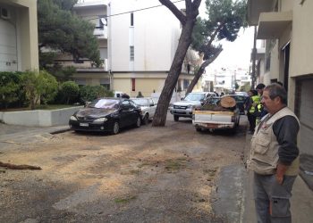 Το δέντρο σκόρπισε τον… τρόμο- Έπεσε πάνω σε αυτοκίνητο (φωτο)