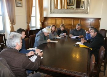 Κρήτη: Οι αποφάσεις για την αντιμετώπιση του δάκου