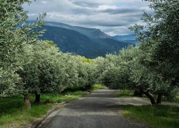 Δυσκολίες και εμπόδια στη σωτηρία των… αγροτών – Σε ποια φάση βρίσκεται ο φάκελος για τις αποζημιώσεις