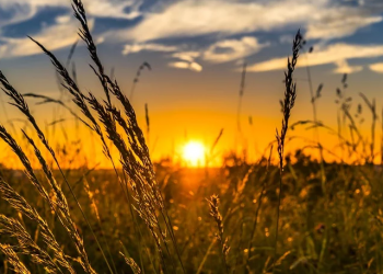 Ο φετινός Ιανουάριος ήταν ο θερμότερος που έχει καταγραφεί