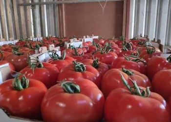 Πάνω από 28 εκατομμύρια ευρώ για την οργάνωση παραγωγών οπωροκηπευτικών