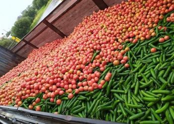 «Κραυγή» αγωνίας από τους αγρότες της Κρήτης – Τα προβλήματα και τι ζητούν…