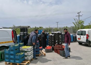 Θέμα voucherergasia.gr: Γιατί εκατοντάδες τόνοι κηπευτικών προωθούνται σε Δομές της Κρήτης