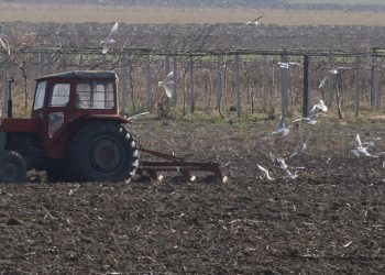 Θέμα voucherergasia.gr: Παράταση στην προθεσμία υποβολής δηλώσεων ΟΣΔΕ για τους αγρότες