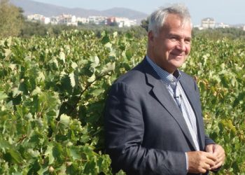 Κατανέμονται οι νέες άδειες φύτευσης οινοποιήσιμων ποικιλιών αμπέλου για το 2020