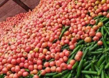 Η απόγνωση «πνίγει» τους παραγωγούς- Τι ζητούν οι ίδιοι- Το θέμα στη Βουλή