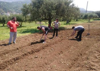 ΚΕΘΕΑ:  Φύτεψαν και πέρασαν το… μήνυμα