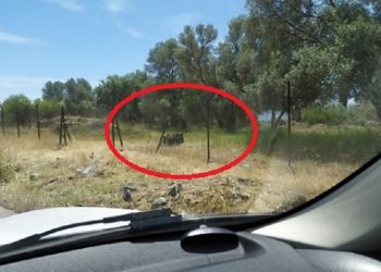 Ο κινητήρας του αυτοκινήτου μέσα στα λιόφυτα θυμίζει την ανείπωτη τραγωδία…