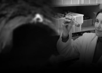 Τι είπε ο δράστης για τη δολοφονία της βιολόγου: Επηρεάστηκε από τον σατανισμό;