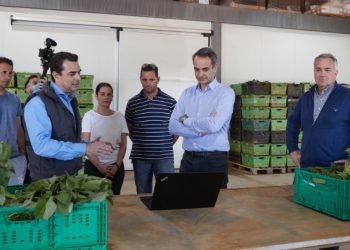 Μητσοτάκης: Ο πρωτογενής τομέας ένας από τους μοχλούς ανάπτυξης της οικονομίας