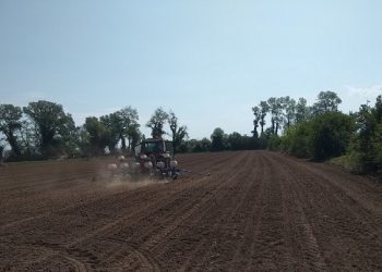 ΟΑΕΔ: Και επίδομα ανεργίας και εργασία στα χωράφια για τους ανέργους