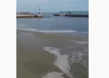 Σεισμικές δονήσεις στην Κρήτη – Μικρό τσουνάμι (VIDEO)