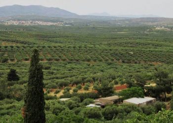 Αεροδρόμιο Καστελίου: Κινητοποιήσεις για τη μη καταβολή αποζημιώσεων