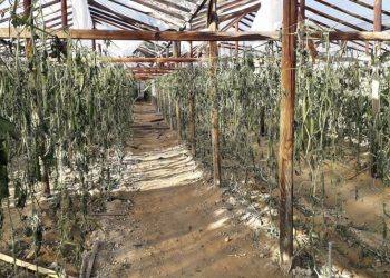 Τα προβλήματα των παραγωγών στη Βουλή – Ζητούνται μέτρα στήριξης