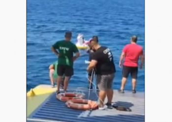 Απίστευτο: Φέρι μποτ διέσωσε παιδάκι που παρασύρθηκε από τα ρεύματα (VIDEOS)