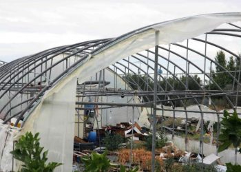 Θεμα voucherergasia.gr: Γιατί είναι σε απόγνωση οι αγροτες για τις θερμοκηπιακές καλλιέργειες