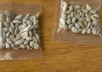 Προσοχή σε σπόρους που έρχονται από την Ασία και ιδιαίτερα την Κίνα!