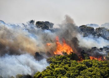 Φωτιά στην Κερατέα: καίγονται κατοικίες – μήνυμα από το 112 σε κατοίκους να εκκενώσουν τα σπίτια τους!