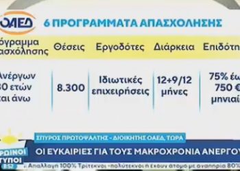 Ο διοικητής του ΟΑΕΔ για τα προγράμματα απασχόλησης (VIDEO)