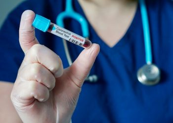 Κρήτη: Νέο κρούσμα κινητοποιεί την Υπηρεσία του Δασοφυλακείου