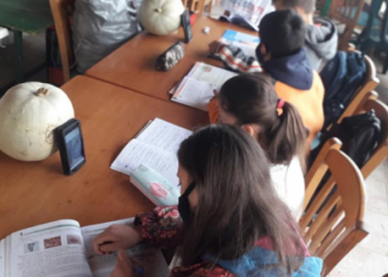 Τηλεκπαίδευση – Ηλεία: Παιδιά χωρίς ίντερνετ παλεύουν να κάνουν μάθημα σε αυλή καφενείου