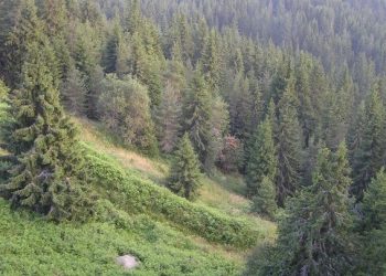 Οι δασικοί χάρτες προστατεύουν τις περιουσίες των πολιτών