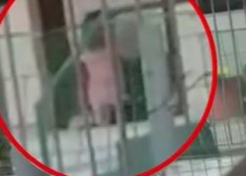 Μετανιωμένη η νηπιαγωγός που έβγαλε την 4χρονη στο κρύο