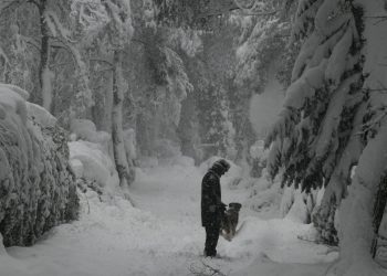 Μήδεια: Σε κατάσταση έκτακτης ανάγκης ο Διόνυσος