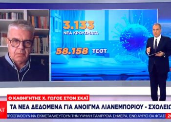 Γώγος: Ελπίζω σε μικρή άρση περιορισμών 5 Απριλίου