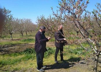 Θέμα voucherergasia.gr: Ο παγετός «έκαψε» τα χωράφια και τις καλλιέργειες – Ζητούνται… αποζημιώσεις