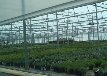 Στη Βουλή η επιστολή των Αγροτικών Συλλόγων για οικονομική ενίσχυση των θερμοκηπιακών κηπευτικών Κρήτης