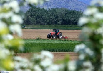 Ανοίγει ο Μεθοριακός Σταθμός Κρυσταλλοπηγής για την είσοδο εργατών γης