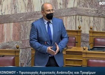 Οικονόμου: Όλοι θα αποζημιωθούν έγκαιρα και δίκαια