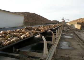 Να μην χαθεί η τευτλοκαλλιέργεια ζητούν οι παραγωγοί