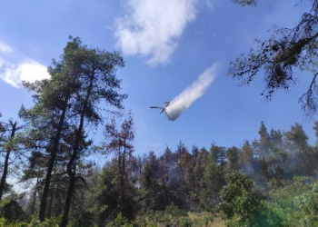 Απαντήσεις για τα πυροσβεστικά αεροπλάνα: Γιατί η Ελλάδα δεν μπορεί να έχει όσα εναέρια μέσα θέλει…