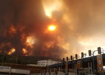 Πέρασε την εθνική οδό η φωτιά στο ύψος των Αφιδνών! (VIDEO)